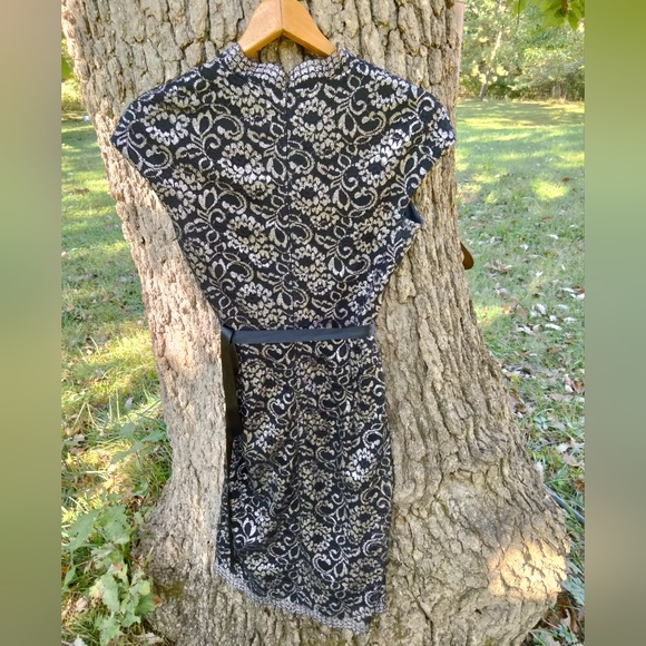 ⬇️ Price Drop!⬇️ Alex Evenings Dress in size 10 - Picture 2 of 3